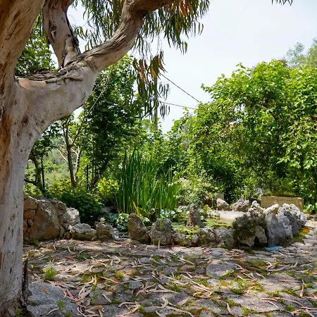 Locazione Turistica Sunny Villa